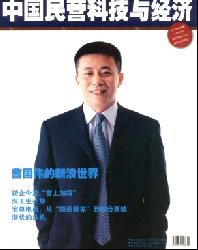 中国民营科技与经济