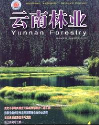 云南林业