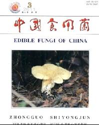 中国食用菌