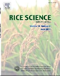 Rice Science