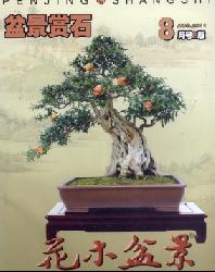花木盆景(盆景赏石版)